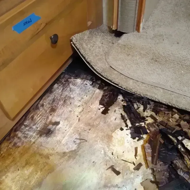 Best Wood Floor Water Damage Service in Ontonagon, MI